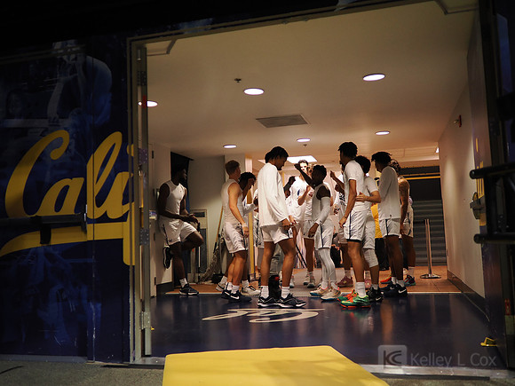 Mens Basketball: California Golden Bears vs Montana State Bobcats