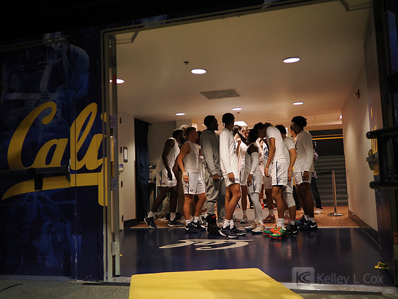 Mens Basketball: California Golden Bears vs Montana State Bobcats