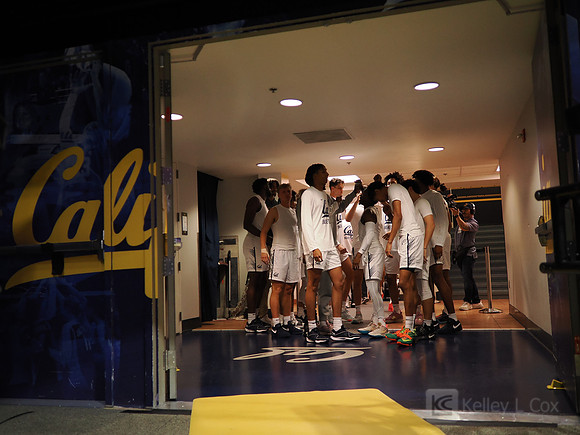 Mens Basketball: California Golden Bears vs Montana State Bobcats