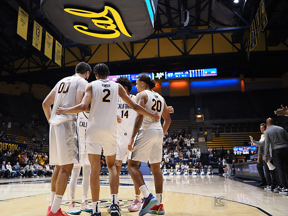 Mens Basketball: California Golden Bears vs Montana State Bobcats