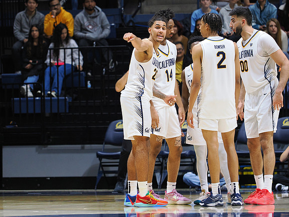 Mens Basketball: California Golden Bears vs Montana State Bobcats
