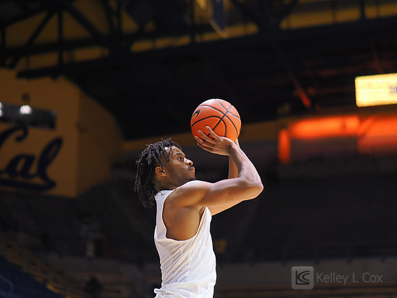 Mens Basketball: California Golden Bears vs Montana State Bobcats