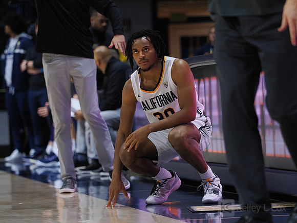 Mens Basketball: California Golden Bears vs Montana State Bobcats