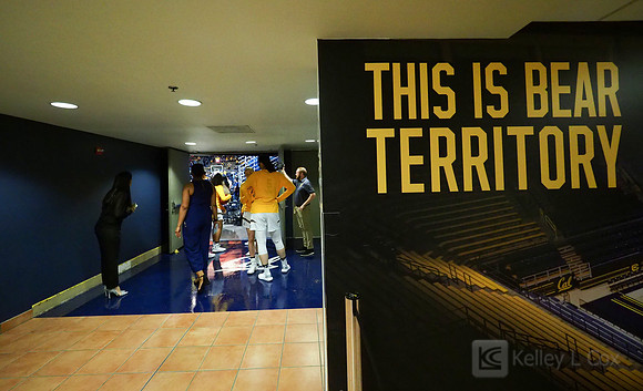 Women's College Basketball: University of Connecticut Huskies at California Golden Bears
