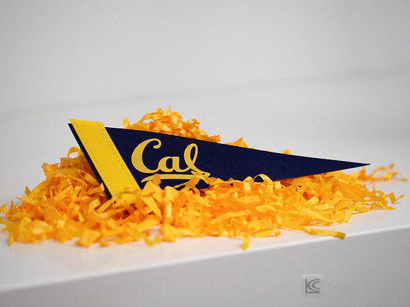 Women's College Basketball: University of Connecticut Huskies at California Golden Bears