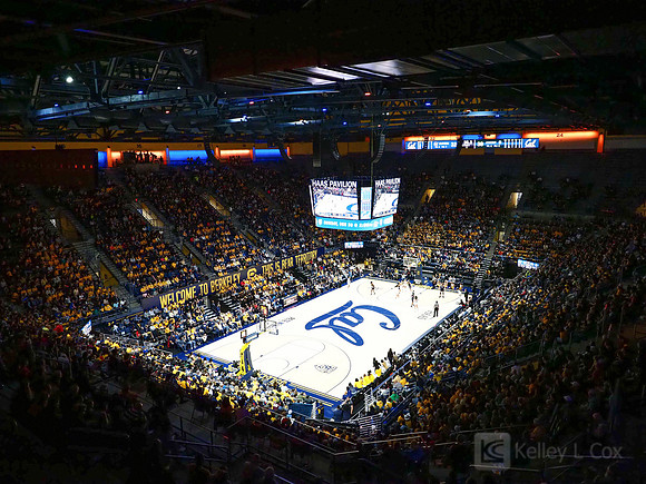 Haas Pavilion