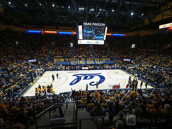 Haas Pavilion