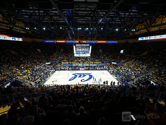 Haas Pavilion