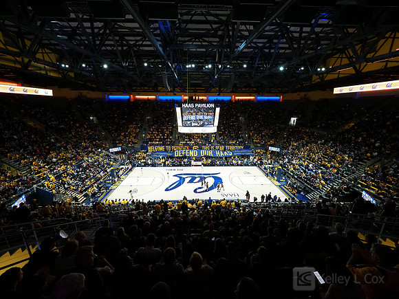 Haas Pavilion