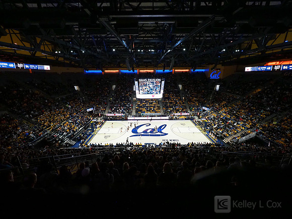 Haas Pavilion