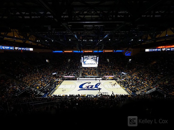 Haas Pavilion