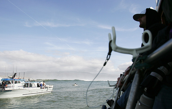 Mavericks 2010
