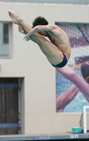 Cal Men's Swimming and Diving vs Stanford