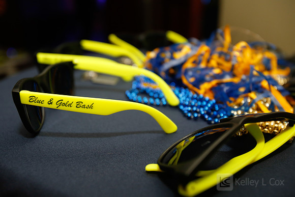 Blue and Gold Bash