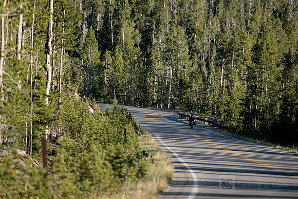 Yellowstone National Park