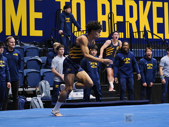 Men’s Gymnastics: California Golden Bears vs Stanford Cardinal