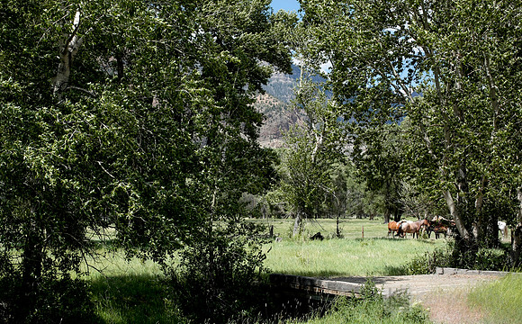 Wyoming