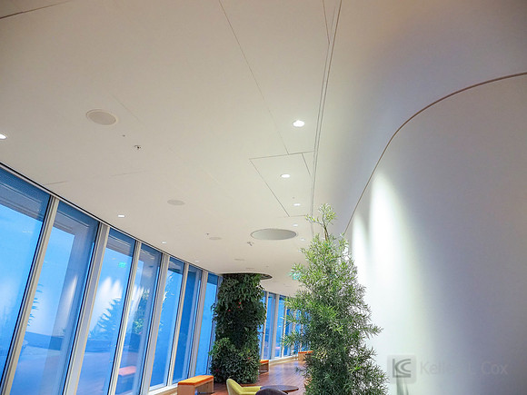 Anning-Johnson Company: Salesforce Tower