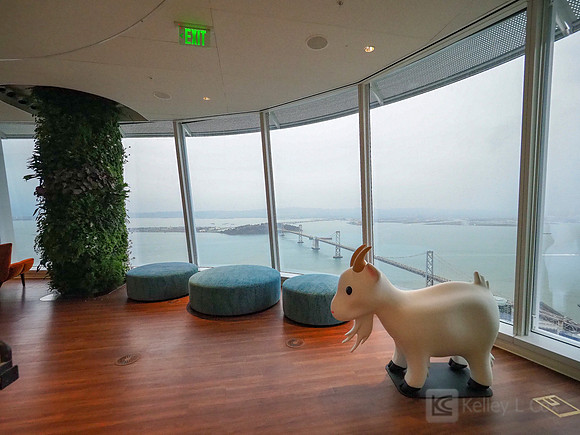 Anning-Johnson Company: Salesforce Tower