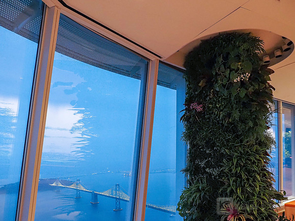 Anning-Johnson Company: Salesforce Tower