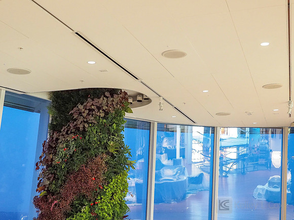 Anning-Johnson Company: Salesforce Tower