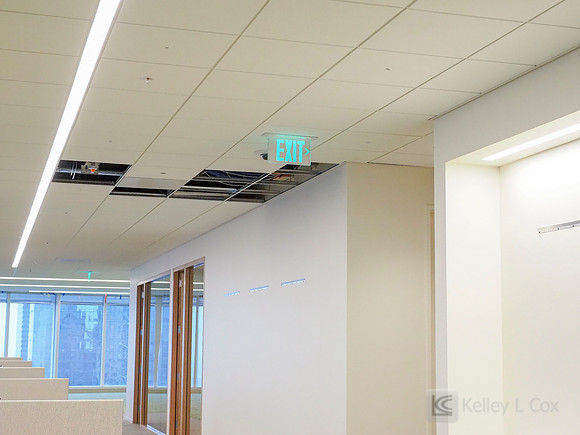 Anning-Johnson Company: Salesforce Tower