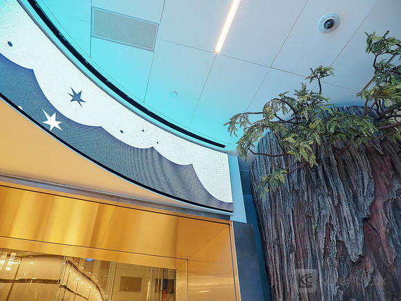 Anning-Johnson Company: Salesforce Tower