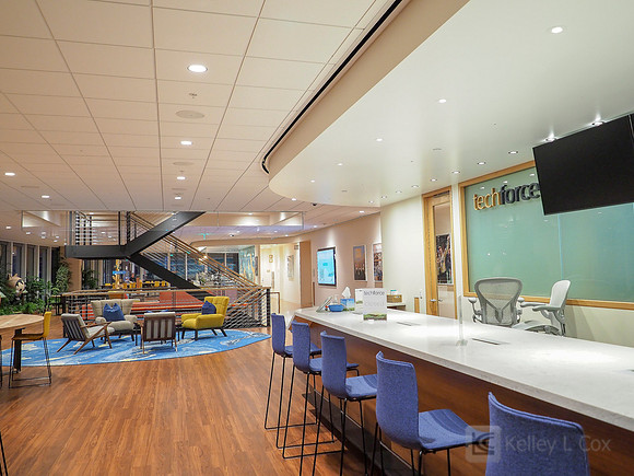Anning-Johnson Company: Salesforce Tower