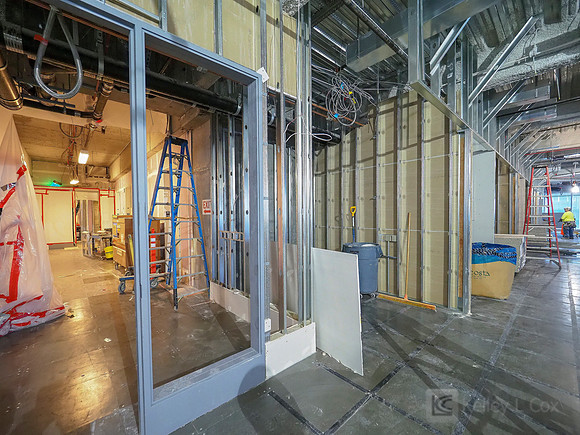 Anning-Johnson Company: Salesforce Tower