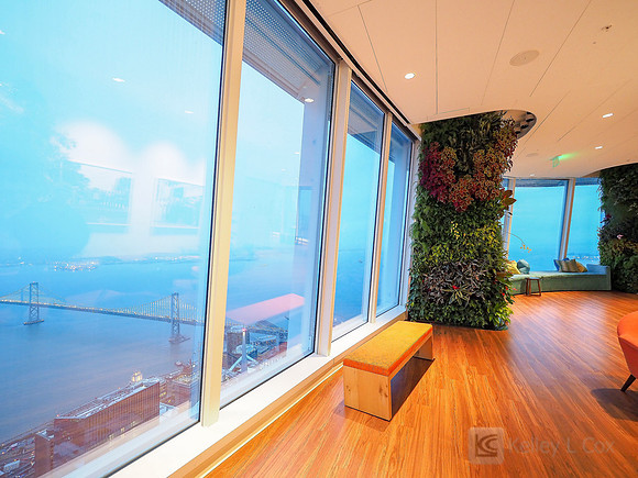 Anning-Johnson Company: Salesforce Tower