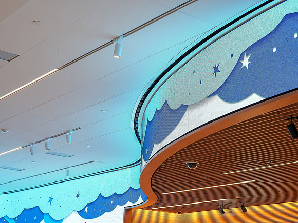 Anning-Johnson Company: Salesforce Tower