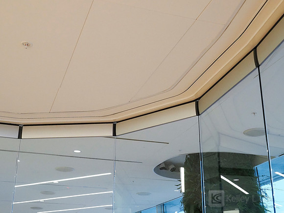 Anning-Johnson Company: Salesforce Tower