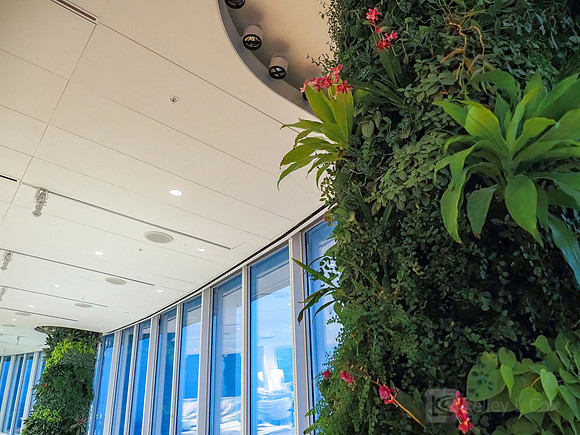 Anning-Johnson Company: Salesforce Tower