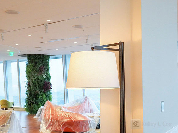 Anning-Johnson Company: Salesforce Tower