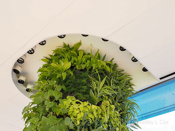 Anning-Johnson Company: Salesforce Tower