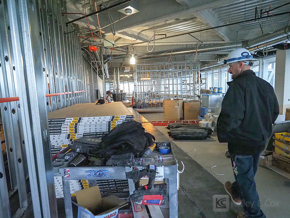 Anning-Johnson Company: Salesforce Tower