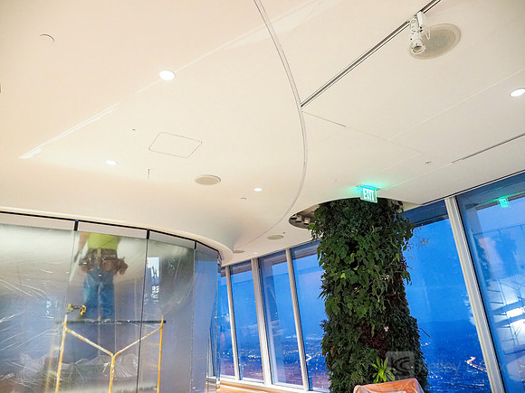 Anning-Johnson Company: Salesforce Tower