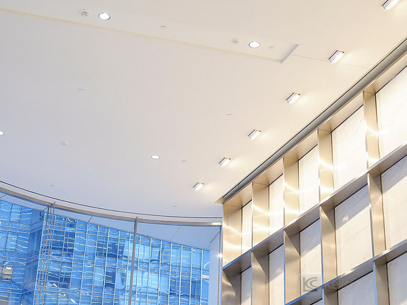 Anning-Johnson Company: Salesforce Tower