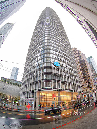 Anning-Johnson Company: Salesforce Tower