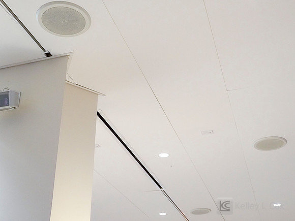 Anning-Johnson Company: Salesforce Tower