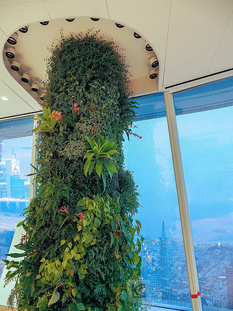 Anning-Johnson Company: Salesforce Tower