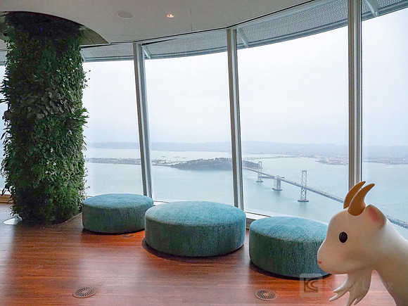 Anning-Johnson Company: Salesforce Tower