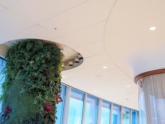 Anning-Johnson Company: Salesforce Tower