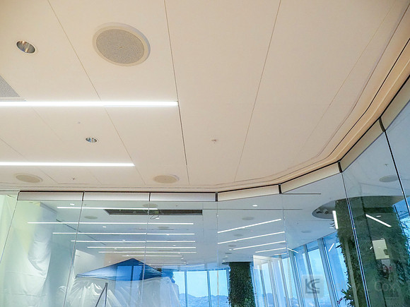 Anning-Johnson Company: Salesforce Tower
