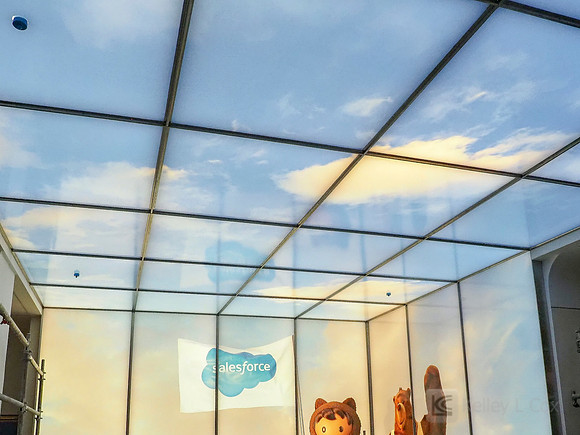 Anning-Johnson Company: Salesforce Tower