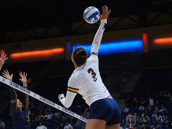 Volleyball: California Golden Bears vs Notre Dame Fighting Irish