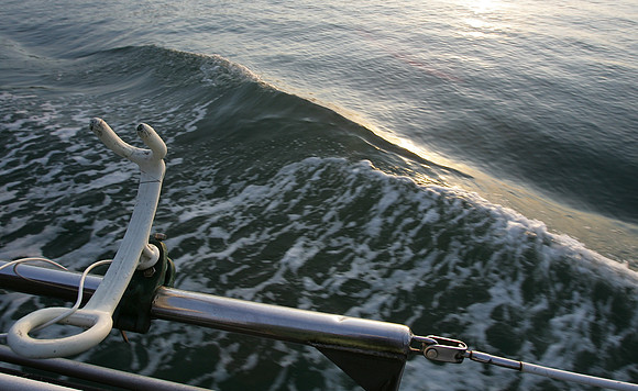 Mavericks 2010