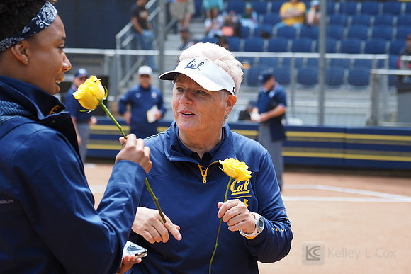 Diane Ninemire