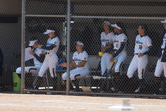 Team