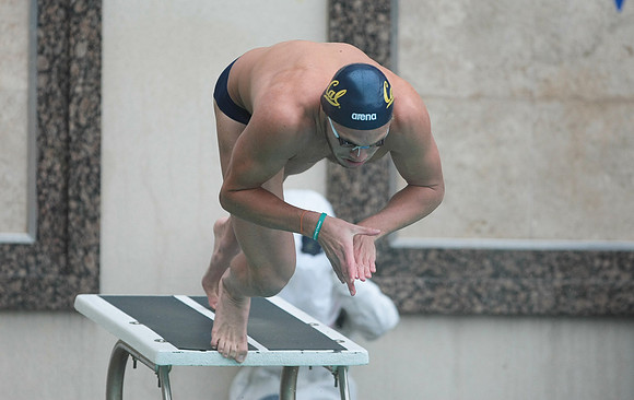 Cal Men's Swimming vs Stanford